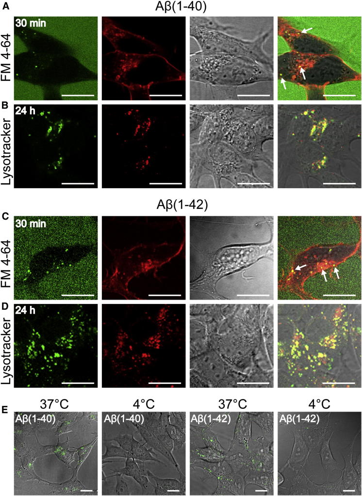 Figure 3