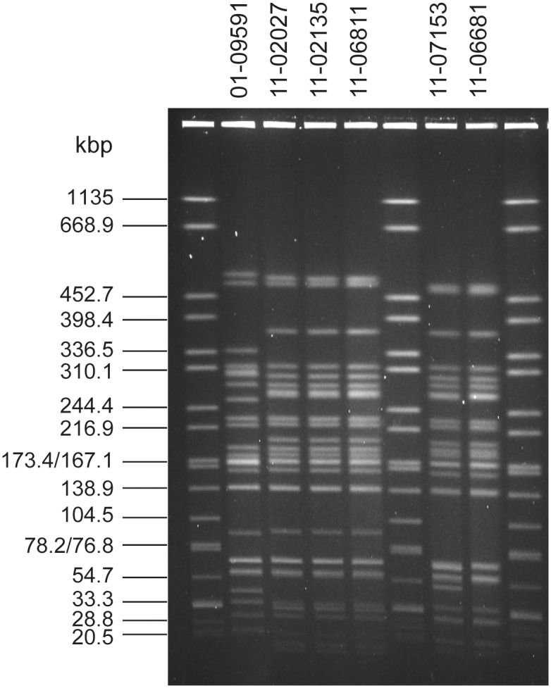 Fig 1