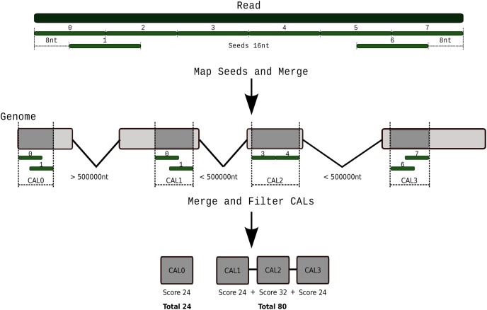 Figure 1.