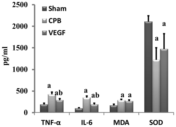 Figure 5.