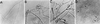 FIG. 12