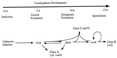 FIG. 8