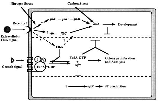 FIG. 13