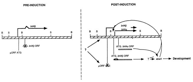 FIG. 10