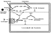 FIG. 13