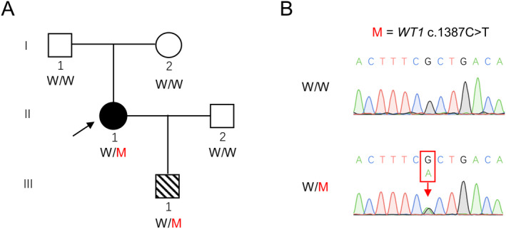 FIGURE 1