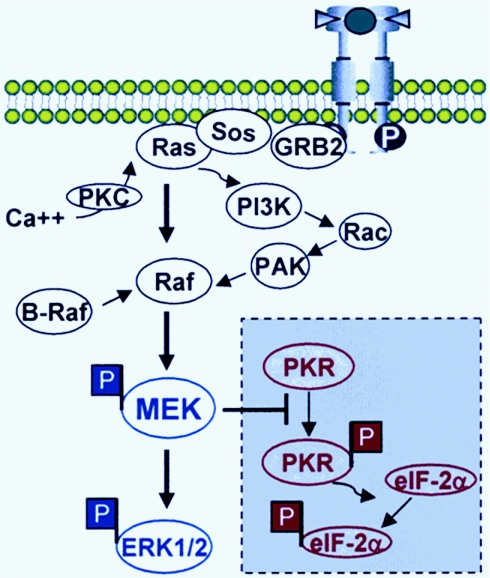 FIG. 11.