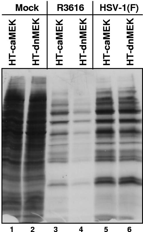 FIG. 9.