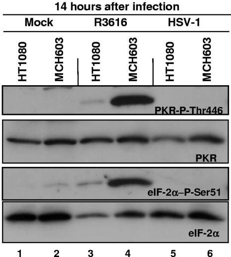 FIG. 5.