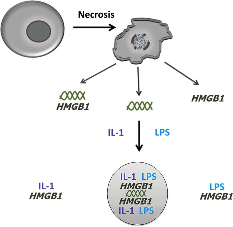 FIG. 6.