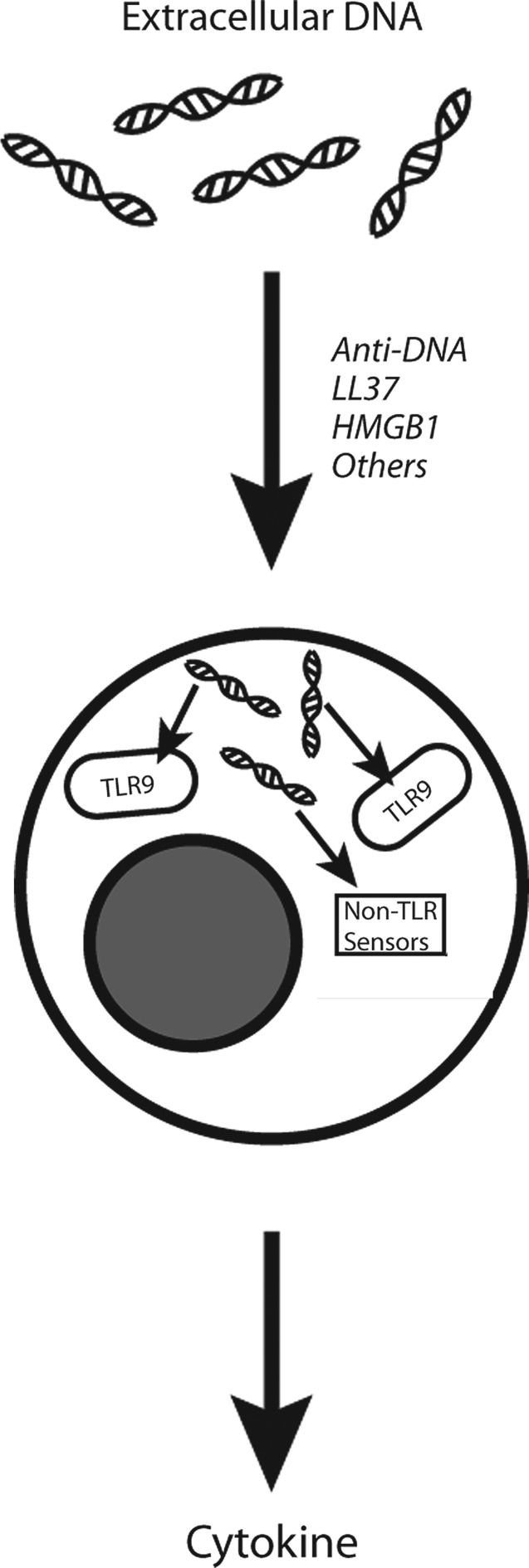 FIG. 5.