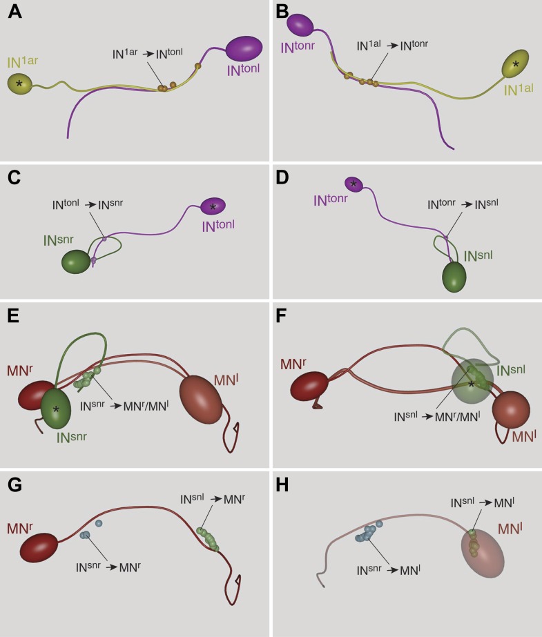 Figure 4—figure supplement 6.