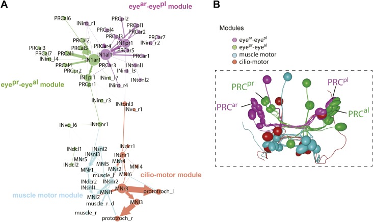 Figure 4—figure supplement 3.