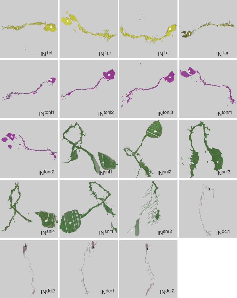 Figure 1—figure supplement 2.