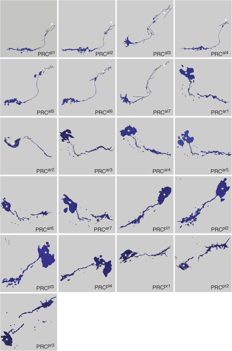 Figure 1—figure supplement 1.