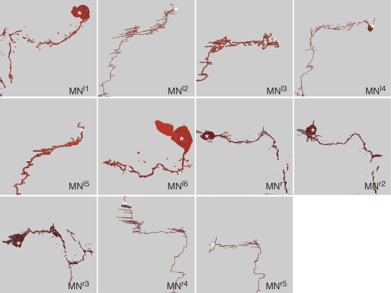 Figure 1—figure supplement 4.