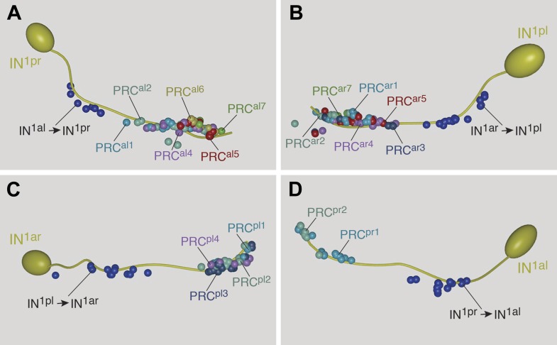 Figure 4—figure supplement 5.