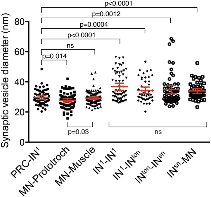 Figure 3—figure supplement 1.