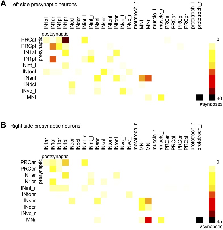 Figure 4—figure supplement 4.