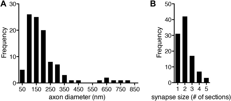 Figure 1—figure supplement 5.