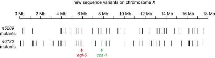 Figure 2—figure supplement 1.