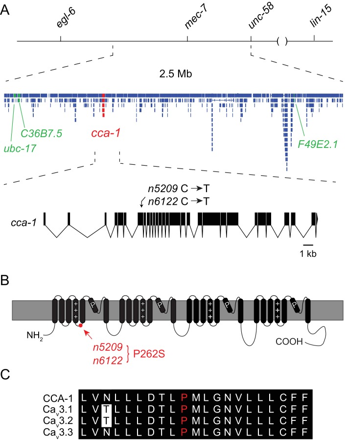 Figure 2.