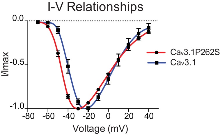 Figure 4—figure supplement 1.