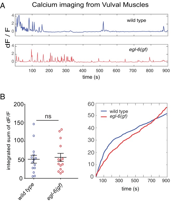 Figure 7—figure supplement 1.