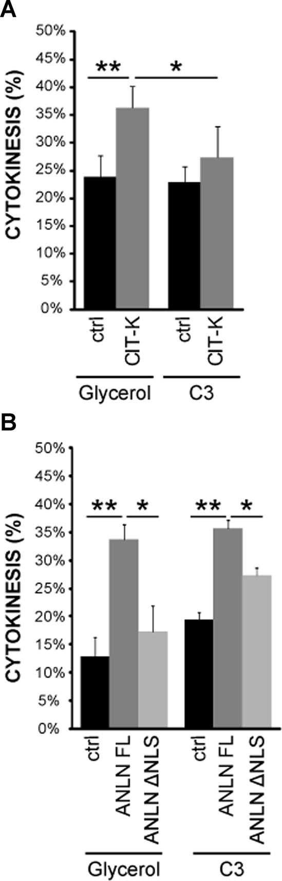 FIGURE 6: