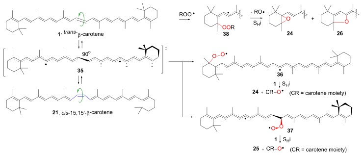 Scheme 3