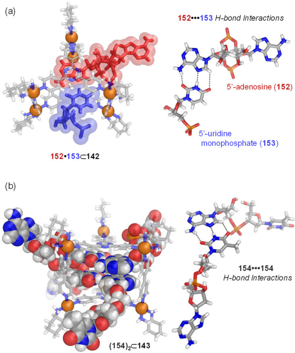 Figure 49