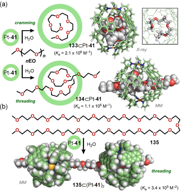 Figure 45