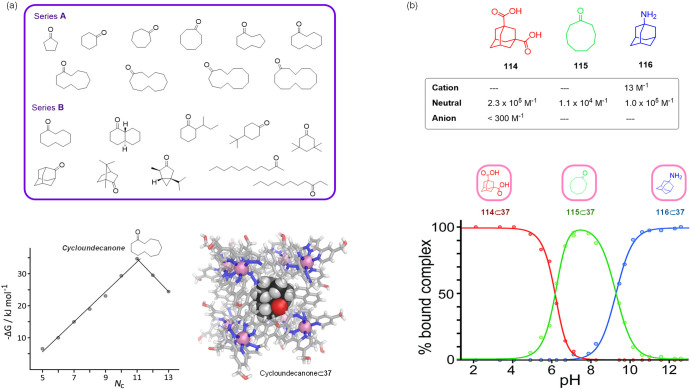 Figure 36