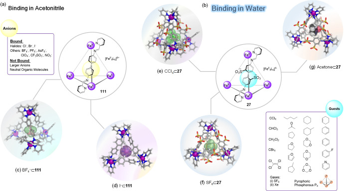 Figure 32