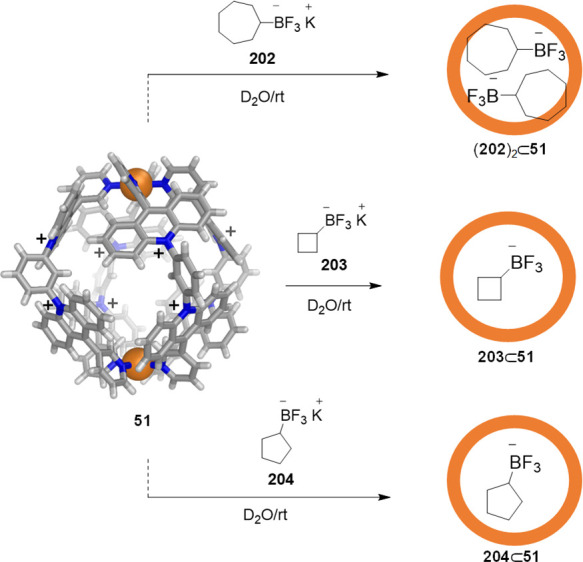 Figure 55