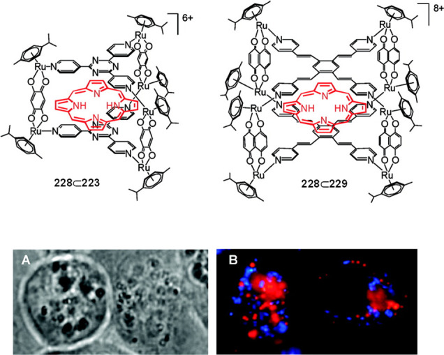 Figure 62