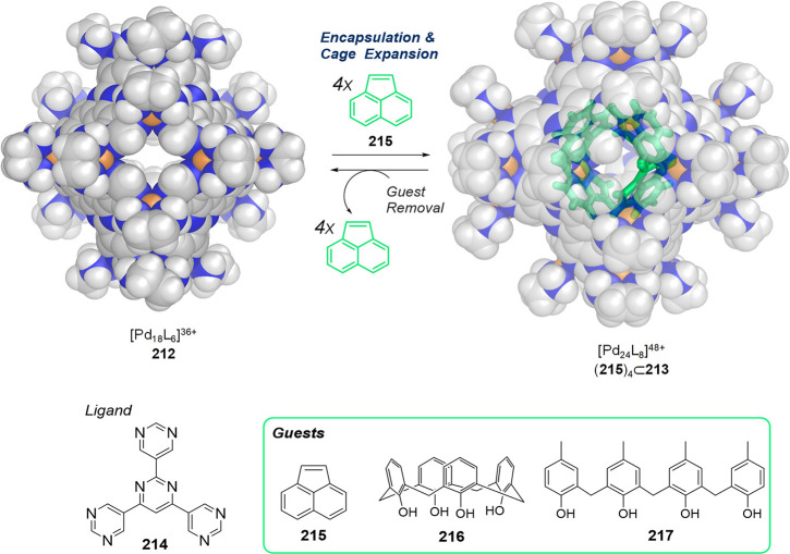 Figure 59