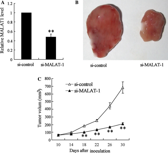 Fig. 6