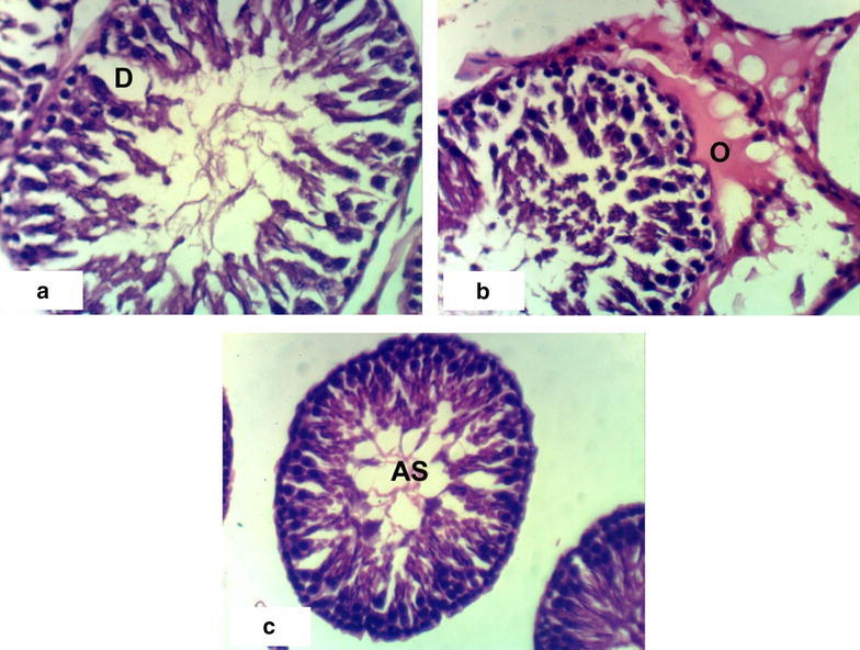 Fig. 8