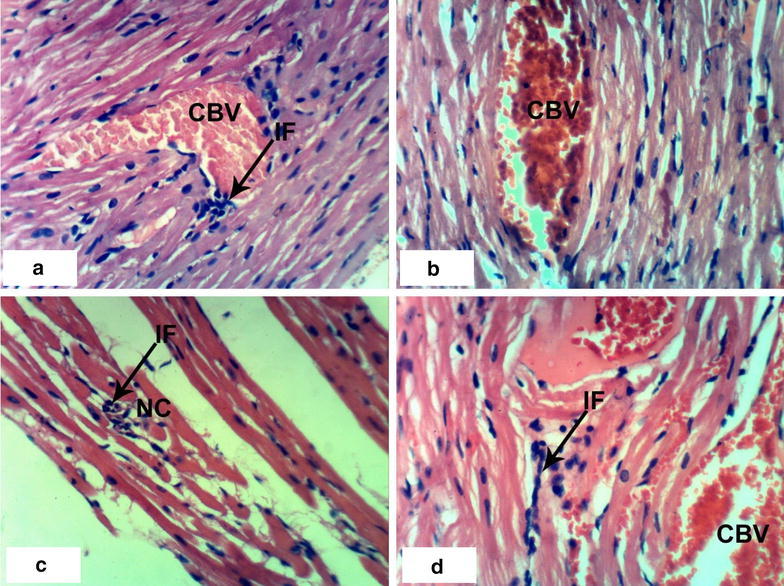 Fig. 4