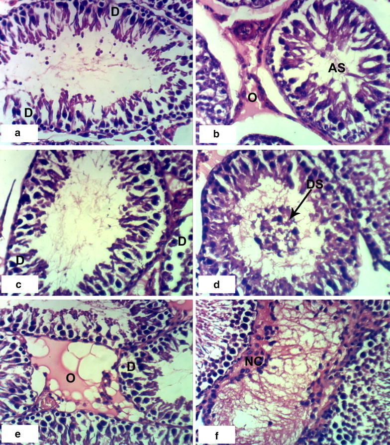 Fig. 7