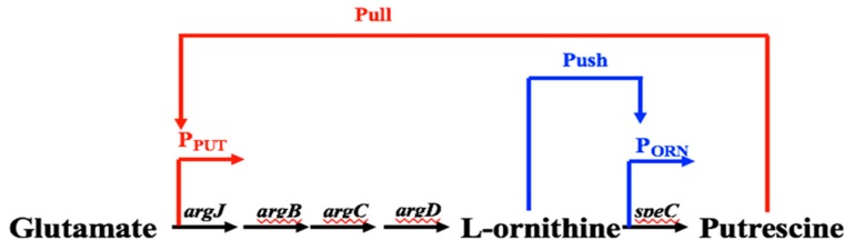 Figure 12