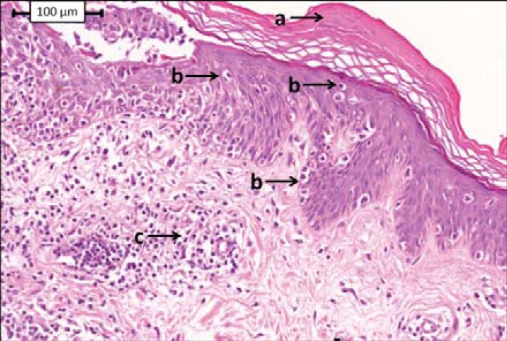 FIGURE 4