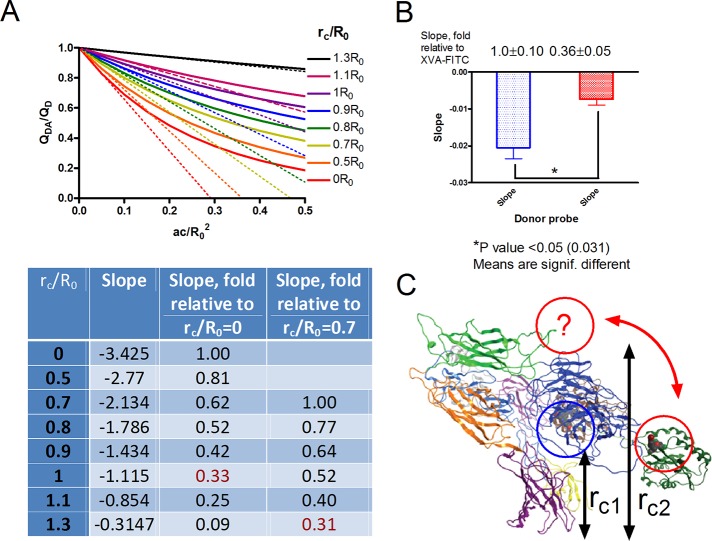 FIGURE 5: