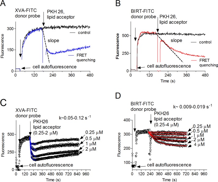 FIGURE 3: