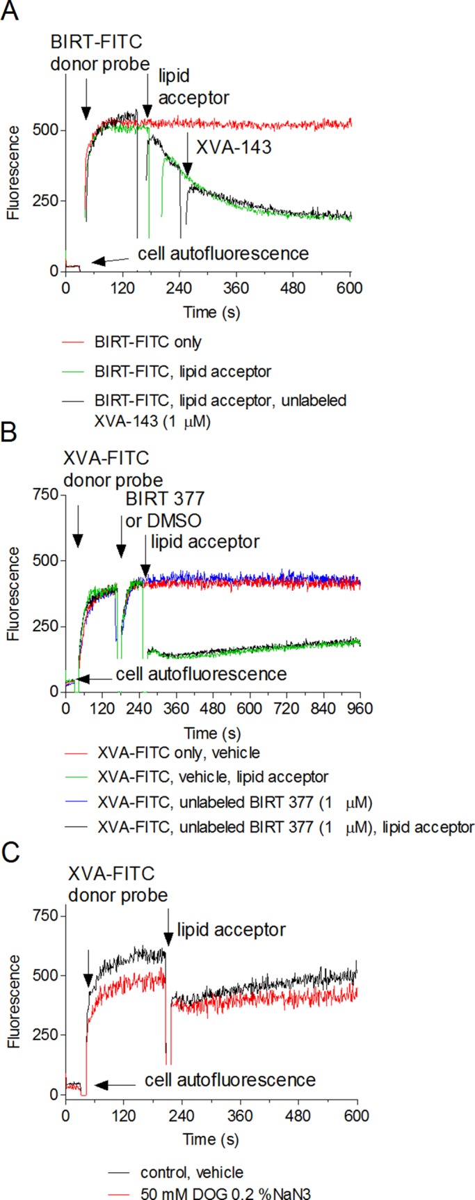 FIGURE 4: