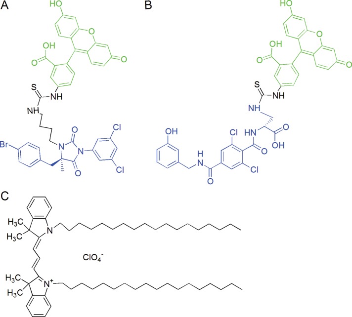 FIGURE 1: