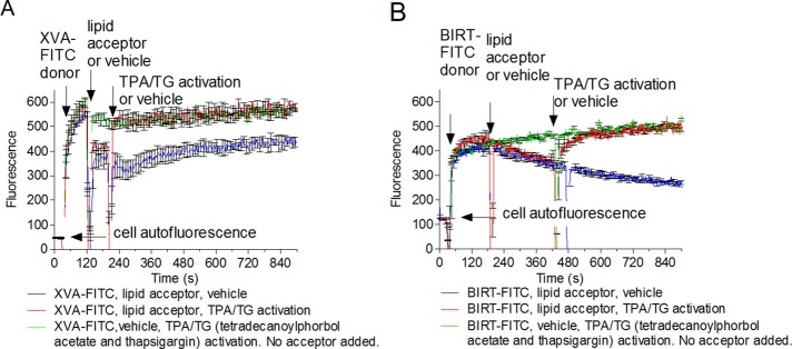 FIGURE 6: