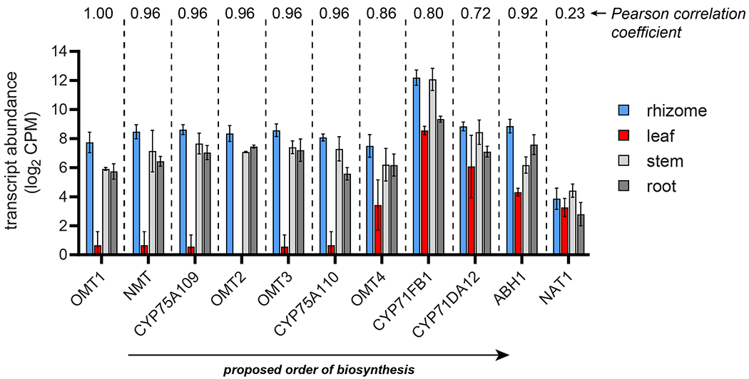 Figure 4.