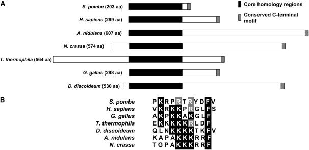 Figure 1.—